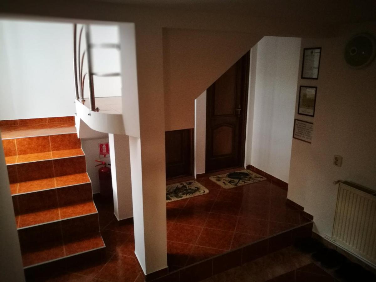 Pensiunea Poiana Borsa  Luaran gambar